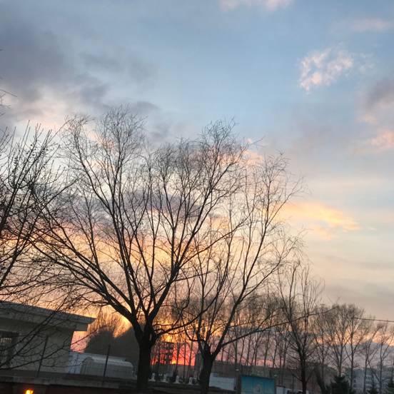 9AA22BF57A8E016F4F6867901DAA4959